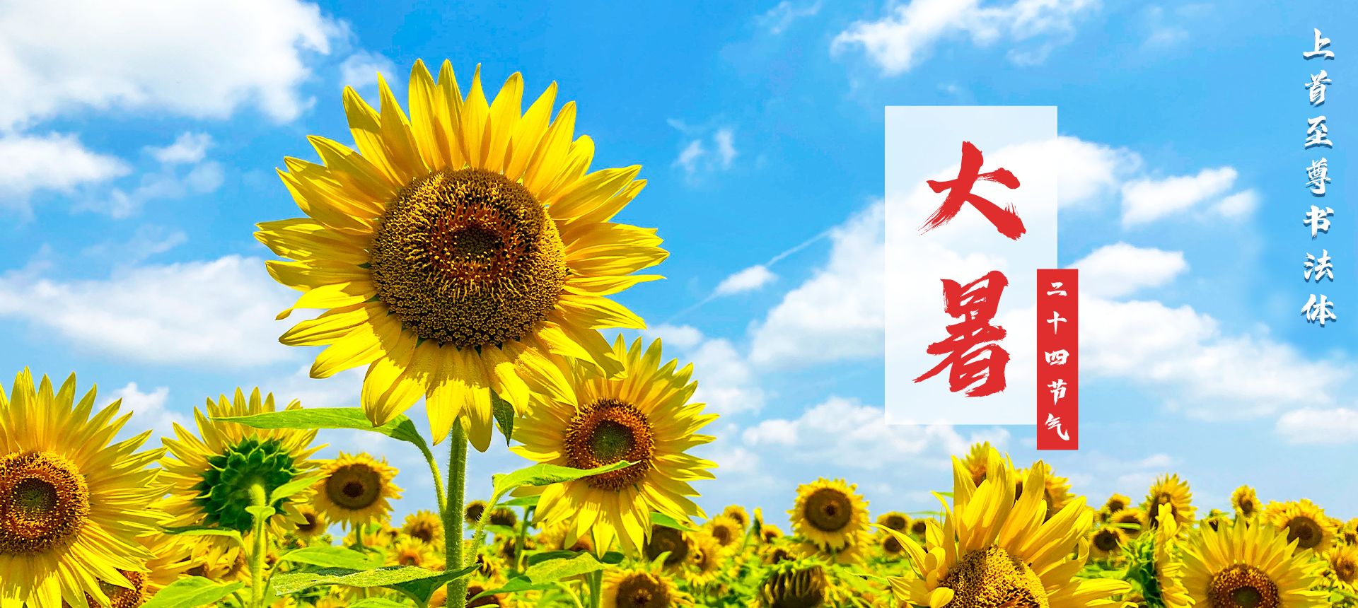 上首至尊书法体