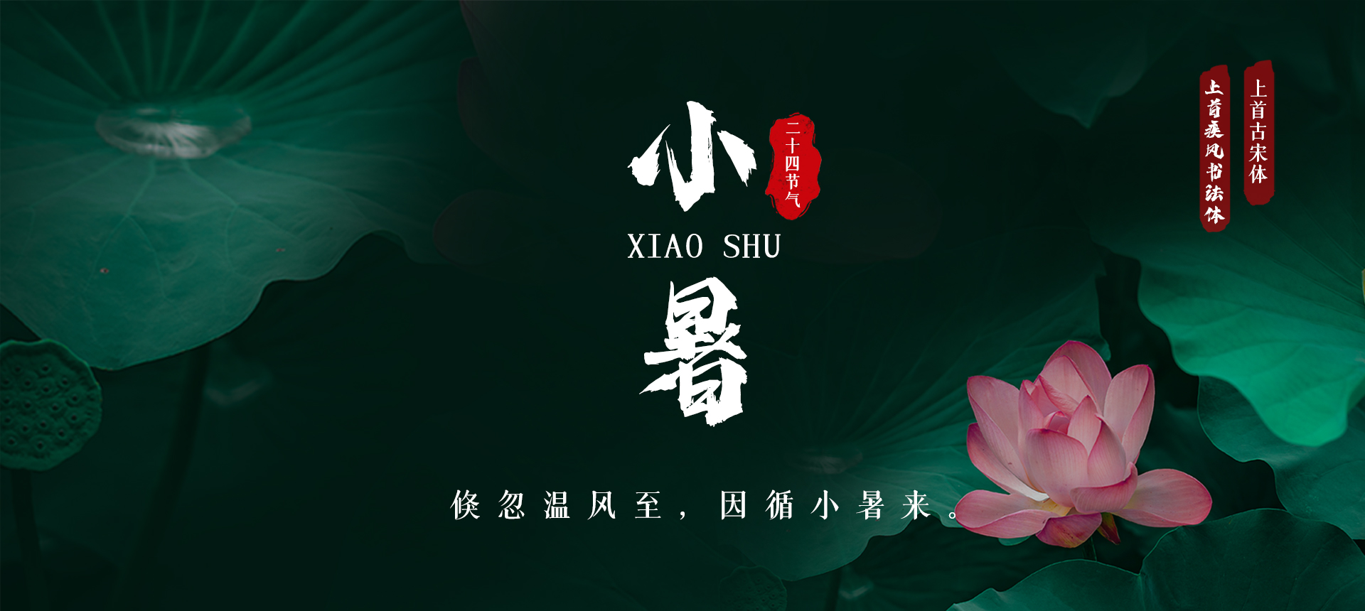 上首至尊书法体